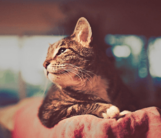 成都重慶地區十大鈑金人物活動方案